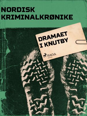 cover image of Dramaet i Knutby